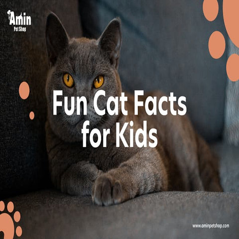 Fun cat facts for kids