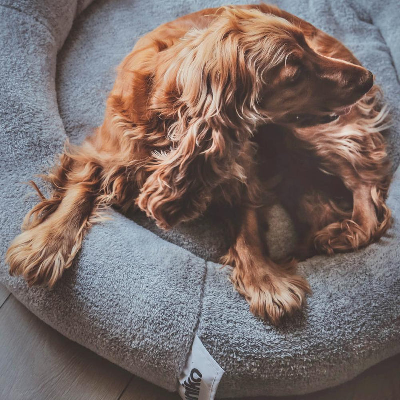 Snoozy Pet Bed