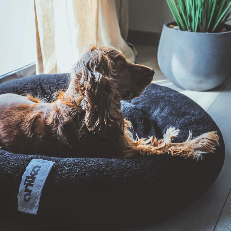 Snoozy Pet Bed