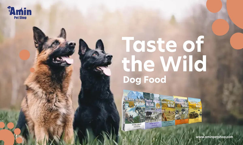 Taste of the Wild Dog Food