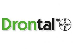 Drontal