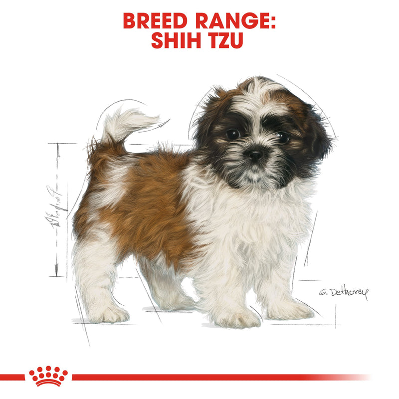 Royal Canin Shih Tzu Puppy (1.5 KG) - Dry food for puppies up to 10 months old - Amin Pet Shop