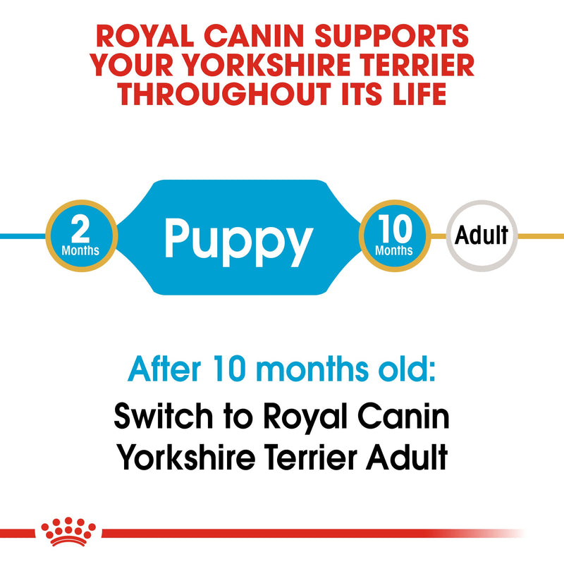 Royal Canin Yorkshire Terrier Puppy (1.5 KG) - Dry food for puppies up to 10 months old