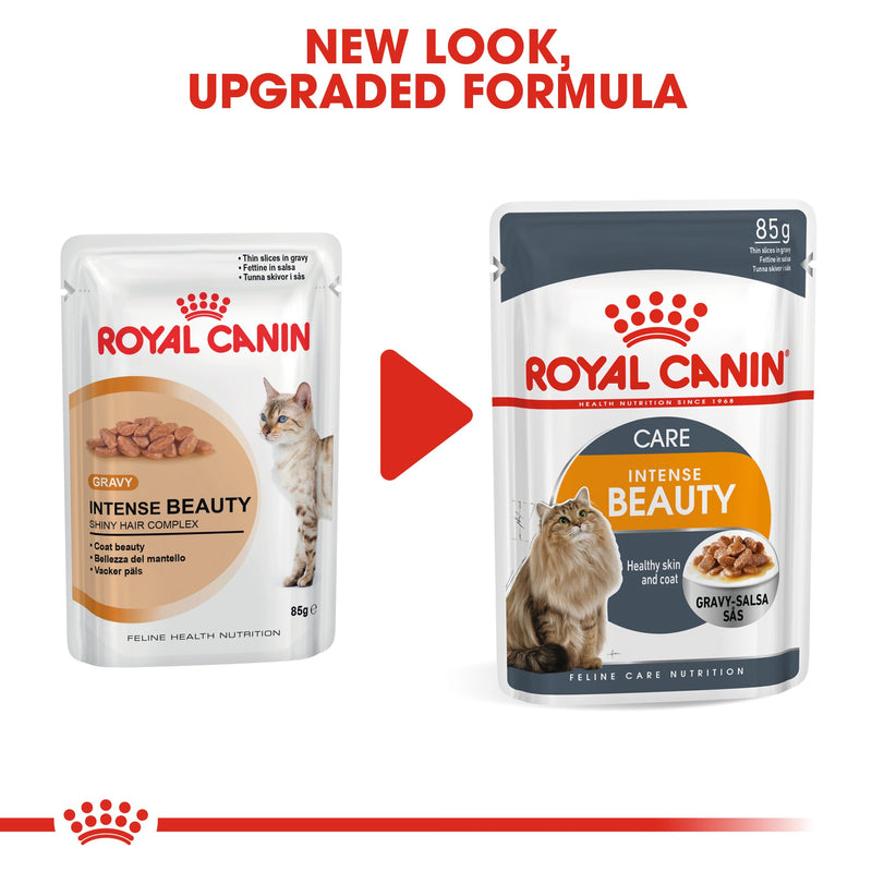 Royal Canin Intense Beauty in Gravy (85 gm\Pouch) - Wet food for adult cats - supports a healthy skin and shiny coat - Amin Pet Shop