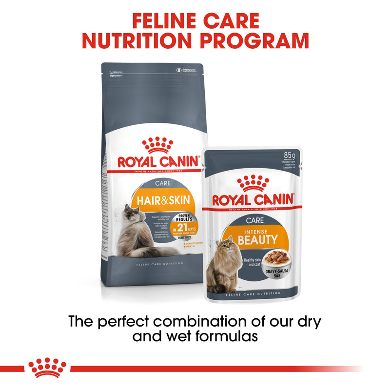 Royal Canin Intense Beauty in Gravy (85 gm\Pouch) - Wet food for adult cats - supports a healthy skin and shiny coat - Amin Pet Shop