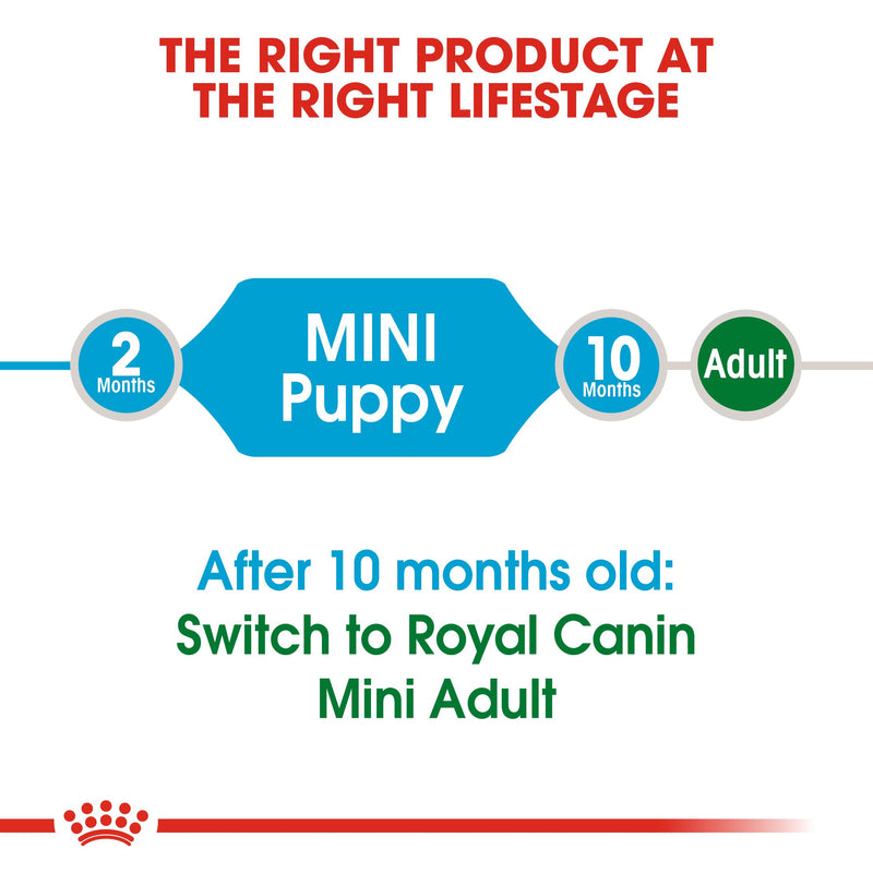 Royal Canin Mini Puppy (2KG) - Dry food for small dogs - Adult weight up to 10 KG From 2 to 10 months old - Amin Pet Shop