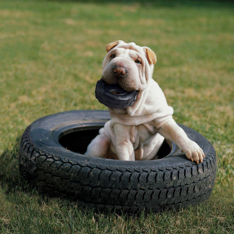 KONG® Extreme Tires - Amin Pet Shop