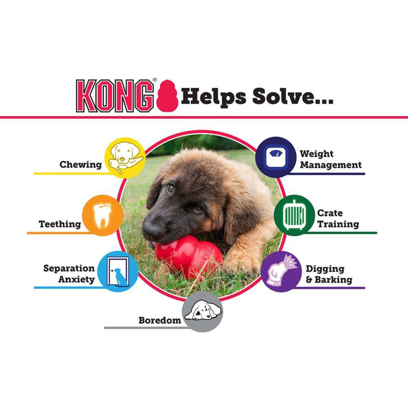 KONG® Extreme - Amin Pet Shop