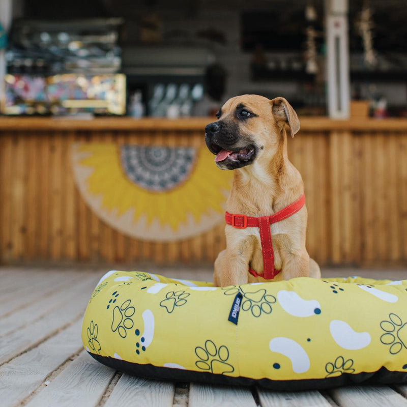 Snoozy Pet Bed