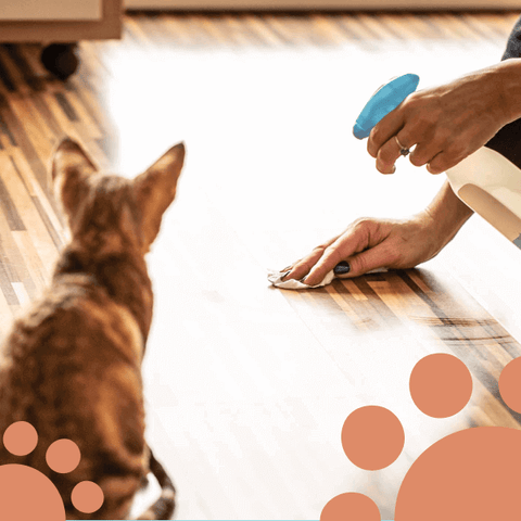 cat floor cleaner