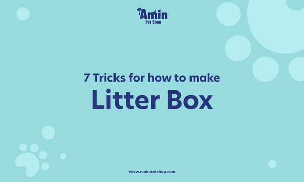 How to make litter box non stick