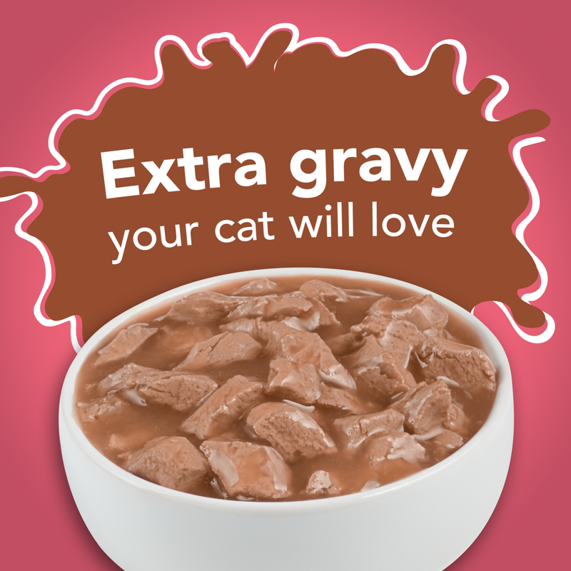 Friskies Extra Gravy Chunky With Salmon In Savory Gravy Wet Cat Food 156g