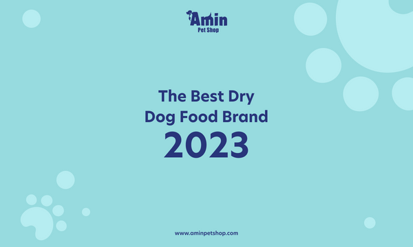 The Best Dry Dog Food Brand 2023