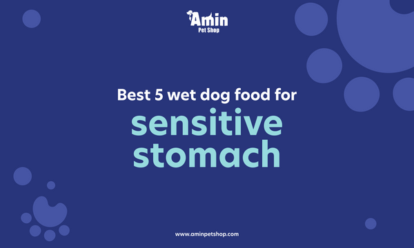  Wet Dog Food For Sensitive Stomach